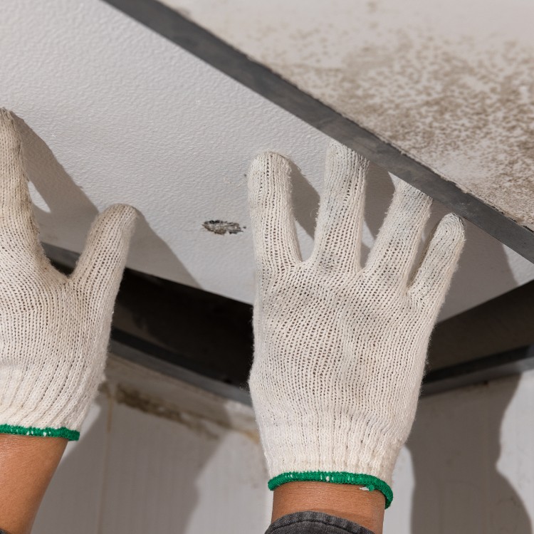 Handyman services in Chico, CA